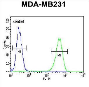 AMACR / P504S Antibody - AMACR Antibody flow cytometry of MDA-MB231 cells (right histogram) compared to a negative control cell (left histogram). FITC-conjugated goat-anti-rabbit secondary antibodies were used for the analysis.