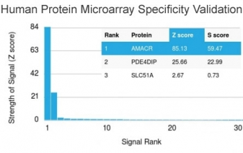 AMACR / P504S Antibody - Analysis of HuProt(TM) microarray containing more than 19,000 full-length human proteins using AMACR antibody (clone AMACR/1864). These results demonstrate the foremost specificity of the AMACR/1864 mAb. Z- and S- score: The Z-score represents the strength of a signal that an antibody (in combination with a fluorescently-tagged anti-IgG secondary Ab) produces when binding to a particular protein on the HuProt(TM) array. Z-scores are described in units of standard deviations (SD's) above the mean value of all signals generated on that array. If the targets on the HuProt(TM) are arranged in descending order of the Z-score, the S-score is the difference (also in units of SD's) between the Z-scores. The S-score therefore represents the relative target specificity of an Ab to its intended target.