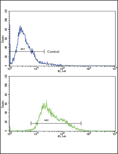 AMHR2 / MISRII Antibody - Flow cytometric of CEM cells using AMHR2 Antibody (bottom histogram) compared to a negative control cell (top histogram). FITC-conjugated goat-anti-rabbit secondary antibodies were used for the analysis.