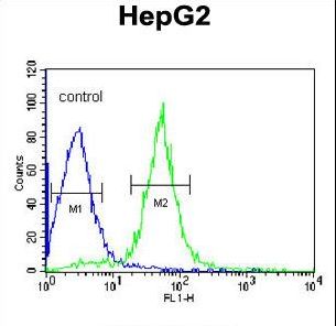 AMID / AIFM2 Antibody - AIFM2 Antibody flow cytometry of HepG2 cells (right histogram) compared to a negative control cell (left histogram). FITC-conjugated goat-anti-rabbit secondary antibodies were used for the analysis.