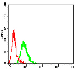 AML1 / RUNX1 Antibody - Flow cytometric analysis of K562 cells using RUNX1 mouse mAb (green) and negative control (red).