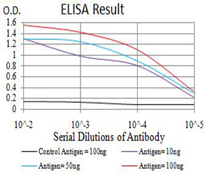 AML1 / RUNX1 Antibody - Black line: Control Antigen (100 ng);Purple line: Antigen (10ng); Blue line: Antigen (50 ng); Red line:Antigen (100 ng)