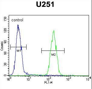 AMN1 Antibody - AMN1 Antibody flow cytometry of U251 cells (right histogram) compared to a negative control cell (left histogram). FITC-conjugated goat-anti-rabbit secondary antibodies were used for the analysis.