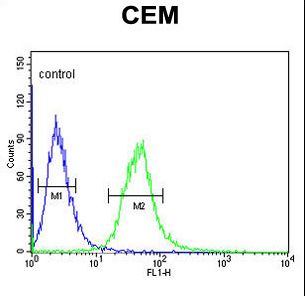 AMY1A / Salivary Amylase Antibody - AMY1A Antibody flow cytometry of CEM cells (right histogram) compared to a negative control cell (left histogram). FITC-conjugated goat-anti-rabbit secondary antibodies were used for the analysis.