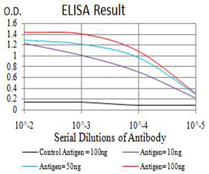 AMY1A / Salivary Amylase Antibody - Black line: Control Antigen (100 ng);Purple line: Antigen (10ng); Blue line: Antigen (50 ng); Red line:Antigen (100 ng)