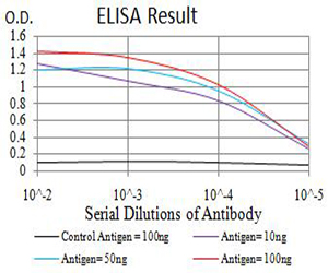 AMY1A / Salivary Amylase Antibody - Black line: Control Antigen (100 ng);Purple line: Antigen (10ng); Blue line: Antigen (50 ng); Red line:Antigen (100 ng)