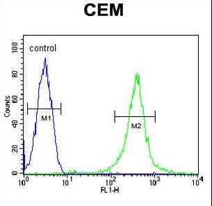AMY2B Antibody - AMY2B Antibody flow cytometry of CEM cells (right histogram) compared to a negative control cell (left histogram). FITC-conjugated goat-anti-rabbit secondary antibodies were used for the analysis.