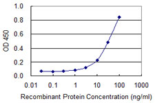 AMY2B Antibody - Detection limit for recombinant GST tagged AMY2B is 1 ng/ml as a capture antibody.