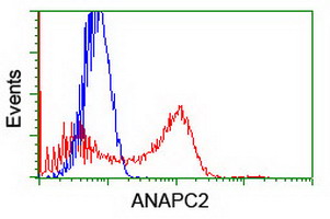 ANAPC2 / APC2 Antibody - HEK293T cells transfected with either overexpress plasmid (Red) or empty vector control plasmid (Blue) were immunostained by anti-ANAPC2 antibody, and then analyzed by flow cytometry.