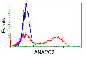 ANAPC2 / APC2 Antibody - HEK293T cells transfected with either overexpress plasmid (Red) or empty vector control plasmid (Blue) were immunostained by anti-ANAPC2 antibody, and then analyzed by flow cytometry.