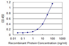 ANGPT4 / Angiopoietin-4 Antibody - Detection limit for recombinant GST tagged ANGPT4 is 0.3 ng/ml as a capture antibody.