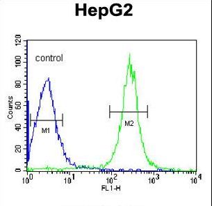 ANGPTL4 Antibody - ANGPTL4 Antibody flow cytometry of HepG2 cells (right histogram) compared to a negative control cell (left histogram). FITC-conjugated goat-anti-rabbit secondary antibodies were used for the analysis.