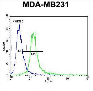 ANKRD13C Antibody - ANKRD13C Antibody flow cytometry of MDA-MB231 cells (right histogram) compared to a negative control cell (left histogram). FITC-conjugated goat-anti-rabbit secondary antibodies were used for the analysis.