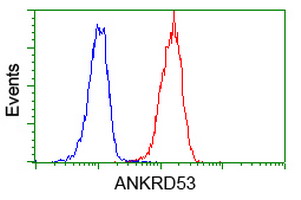 ANKRD53 Antibody - Flow cytometry of Jurkat cells, using anti-ANKRD53 antibody (Red), compared to a nonspecific negative control antibody (Blue).