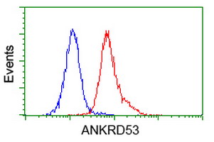 ANKRD53 Antibody - Flow cytometry of Jurkat cells, using anti-ANKRD53 antibody (Red), compared to a nonspecific negative control antibody (Blue).
