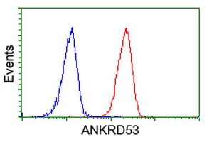 ANKRD53 Antibody - Flow cytometry of HeLa cells, using anti-ANKRD53 antibody (Red), compared to a nonspecific negative control antibody (Blue).