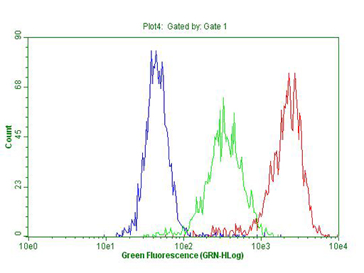 ANP32C Antibody - Flow cytometric Analysis of permeabilized MCF-7 cells, using anti-ANP32C antibody  Red), compared to an IgG isotype control. (green), and negative control. (PBS, Blue). (1:100)