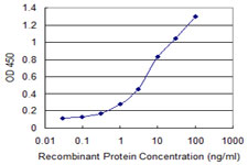 ANPEP / CD13 Antibody - Detection limit for recombinant GST tagged ANPEP is 0.1 ng/ml as a capture antibody.