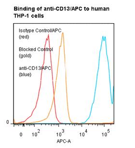 ANPEP / CD13 Antibody