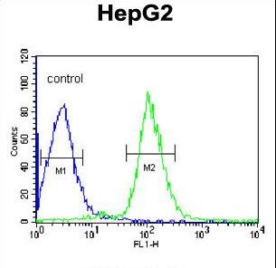 Antithrombin-III Antibody - SERPINC1 Antibody flow cytometry of HepG2 cells (right histogram) compared to a negative control cell (left histogram). FITC-conjugated goat-anti-rabbit secondary antibodies were used for the analysis.