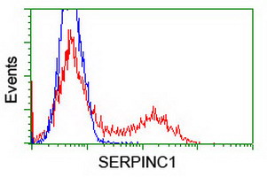 Antithrombin-III Antibody - HEK293T cells transfected with either pCMV6-ENTRY SERPINC1 (Red) or empty vector control plasmid (Blue) were immunostained with anti-SERPINC1 mouse monoclonal(Dilution 1:1,000), and then analyzed by flow cytometry.