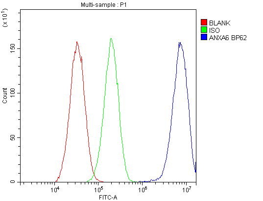 ANXA6/Annexin A6/Annexin VI Antibody - Flow Cytometry analysis of HepG2 cells using anti-Annexin VI antibody. Overlay histogram showing HepG2 cells stained with anti-Annexin VI antibody (Blue line). The cells were blocked with 10% normal goat serum. And then incubated with rabbit anti-Annexin VI Antibody (1µg/10E6 cells) for 30 min at 20°C. DyLight®488 conjugated goat anti-rabbit IgG (5-10µg/10E6 cells) was used as secondary antibody for 30 minutes at 20°C. Isotype control antibody (Green line) was rabbit IgG (1µg/10E6 cells) used under the same conditions. Unlabelled sample (Red line) was also used as a control.
