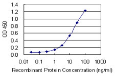 AP2S1 Antibody - Detection limit for recombinant GST tagged AP2S1 is 0.3 ng/ml as a capture antibody.