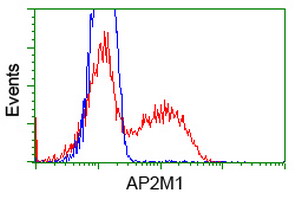AP50 / AP2M1 Antibody - HEK293T cells transfected with either overexpress plasmid (Red) or empty vector control plasmid (Blue) were immunostained by anti-AP2M1 antibody, and then analyzed by flow cytometry.