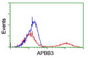 APBB3 Antibody - HEK293T cells transfected with either overexpress plasmid (Red) or empty vector control plasmid (Blue) were immunostained by anti-APBB3 antibody, and then analyzed by flow cytometry.