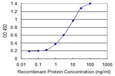 APCS / Serum Amyloid P / SAP Antibody - Detection limit for recombinant GST tagged APCS is 0.1 ng/ml as a capture antibody.