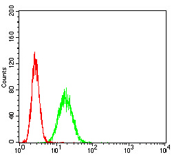 APEX1 / APE1 Antibody - Flow cytometric analysis of HeLa cells using APEX1 mouse mAb (green) and negative control (red).