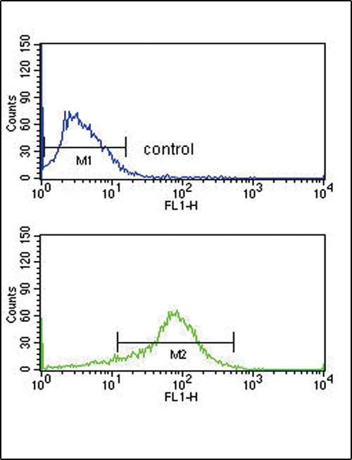 APEX2 Antibody - APEX2 Antibody flow cytometry of MCF-7 cells (bottom histogram) compared to a negative control cell (top histogram). FITC-conjugated goat-anti-rabbit secondary antibodies were used for the analysis.
