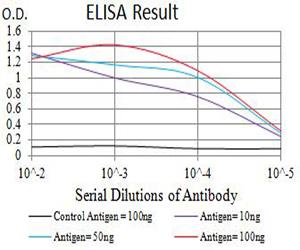 APG5 / ATG5 Antibody - Black line: Control Antigen (100 ng);Purple line: Antigen (10ng); Blue line: Antigen (50 ng); Red line:Antigen (100 ng)
