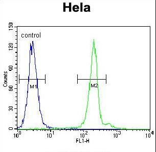 Apg7 / ATG7 Antibody - APG7L Antibody flow cytometry of HeLa cells (right histogram) compared to a negative control cell (left histogram). FITC-conjugated goat-anti-rabbit secondary antibodies were used for the analysis.