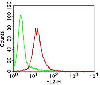 APIP Antibody - Fig-2: Intracellular flow cytometric analysis of APIP in HeLa cells using 0.5 µg/10^6 cells of antibody. Green represents isotype control; red represents anti-APIP antibody. Goat anti-mouse PE conjugate was used as secondary.