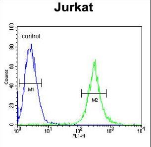 APITD1 Antibody - APITD1 Antibody flow cytometry of Jurkat cells (right histogram) compared to a negative control cell (left histogram). FITC-conjugated goat-anti-rabbit secondary antibodies were used for the analysis.