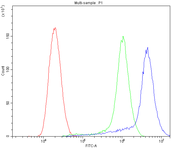 APLP1 / APLP-1 Antibody - Flow Cytometry analysis of SiHa cells using anti-APLP1 antibody. Overlay histogram showing SiHa cells stained with anti-APLP1 antibody (Blue line). The cells were blocked with 10% normal goat serum. And then incubated with rabbit anti-APLP1 Antibody (1µg/10E6 cells) for 30 min at 20°C. DyLight®488 conjugated goat anti-rabbit IgG (5-10µg/10E6 cells) was used as secondary antibody for 30 minutes at 20°C. Isotype control antibody (Green line) was rabbit IgG (1µg/10E6 cells) used under the same conditions. Unlabelled sample (Red line) was also used as a control.