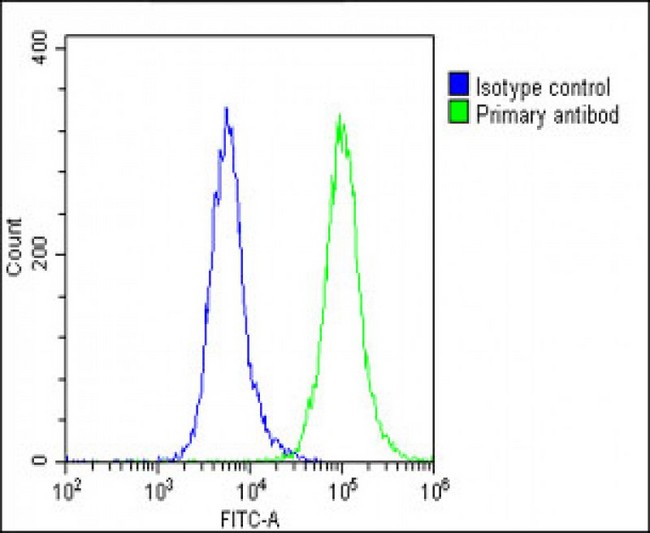 APLP1 / APLP-1 Antibody - Overlay histogram showing U-87 MG cells stained with APLP1 Antibody (C-Term) (green line). The cells were fixed with 2% paraformaldehyde (10 min) and then permeabilized with 90% methanol for 10 min. The cells were then icubated in 2% bovine serum albumin to block non-specific protein-protein interactions followed by the antibody (APLP1 Antibody (C-Term), 1:25 dilution) for 60 min at 37°C. The secondary antibody used was Goat-Anti-Rabbit IgG, DyLight® 488 Conjugated Highly Cross-Adsorbed (1583138) at 1/200 dilution for 40 min at 37°C. Isotype control antibody (blue line) was rabbit IgG1 (1µg/1x10^6 cells) used under the same conditions. Acquisition of >10, 000 events was performed.