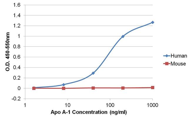 APOA1 / Apolipoprotein A 1 Antibody - Sandwich ELISA of Apolipoprotein A-1 was performed by coating wells of a 96-well plate with 100ul of an Apo A-1 rabbit monoclonal antibody diluted to a concentration of 1 µg/mL in carbonate/bicarbonate buffer overnight at 4C. Wells were blocked with 150ul of StartingBlock T20 (TBS) Blocking Buffer for 30 minutes, and 80ul of recombinant human Apo A-1 or recombinant mouse Apo A-1 was added to the plate at concentrations ranging from 1.6-1000ng/ml and incubated for 1 hour at room temperature. The plate was washed with 1X TBST, and 100ul per well of an Apo A-1 mouse monoclonal antibody was added to each well for 1 hour at room temperature. The plate was washed, and 100ul per well of an HRP-conjugated rabbit anti-mouse IgG cross-adsorbed secondary antibody was incubated for 30 minutes at room temperature. Detection was performed using 1-Step Ultra TMB Substrate, followed by Stop Solution. Absorbances were read on a spectrophotometer at 450-550nm.