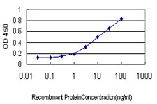 APOA1 / Apolipoprotein A 1 Antibody - Detection limit for recombinant GST tagged APOA1 is approximately 0.03 ng/ml as a capture antibody.
