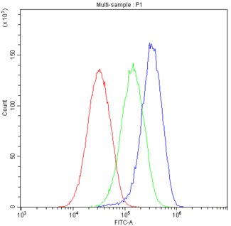 APOA1 / Apolipoprotein A 1 Antibody - Flow Cytometry analysis of HEPG2 cells using anti-Human Apolipoprotein A I antibody. Overlay histogram showing HEPG2 cells stained with anti-Human Apolipoprotein A I antibody (Blue line). The cells were blocked with 10% normal goat serum. And then incubated with rabbit anti-Human Apolipoprotein A I Antibody (1µg/10E6 cells) for 30 min at 20°C. DyLight®488 conjugated goat anti-rabbit IgG (5-10µg/10E6 cells) was used as secondary antibody for 30 minutes at 20°C. Isotype control antibody (Green line) was rabbit IgG (1µg/10E6 cells) used under the same conditions. Unlabelled sample (Red line) was also used as a control.