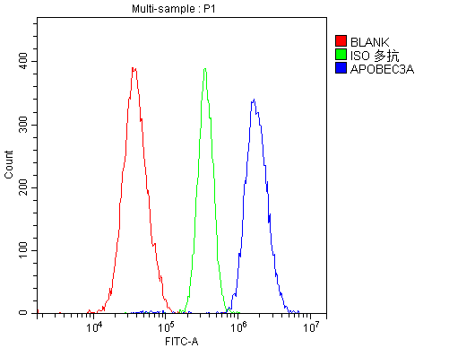 APOBEC3A Antibody - Flow Cytometry analysis of A549 cells using anti-PHO1 antibody. Overlay histogram showing A549 cells stained with anti-PHO1 antibody (Blue line). The cells were blocked with 10% normal goat serum. And then incubated with rabbit anti-PHO1 Antibody (1µg/10E6 cells) for 30 min at 20°C. DyLight®488 conjugated goat anti-rabbit IgG (5-10µg/10E6 cells) was used as secondary antibody for 30 minutes at 20°C. Isotype control antibody (Green line) was rabbit IgG (1µg/10E6 cells) used under the same conditions. Unlabelled sample (Red line) was also used as a control.