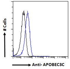 APOBEC3C Antibody - APOBEC3C antibody flow cytometric analysis of paraformaldehyde fixed HeLa cells (blue line), permeabilized with 0.5% Triton. Primary incubation 1hr (10ug/ml) followed by Alexa Fluor 488 secondary antibody (1ug/ml). IgG control: Unimmunized goat IgG (black line) followed by Alexa Fluor 488 secondary antibody.