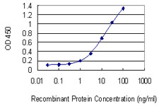 APOC3 / Apolipoprotein C III Antibody - Detection limit for recombinant GST tagged APOC3 is 0.3 ng/ml as a capture antibody.