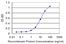 APOER2 / LRP8 Antibody - Detection limit for recombinant GST tagged LRP8 is 0.3 ng/ml as a capture antibody.