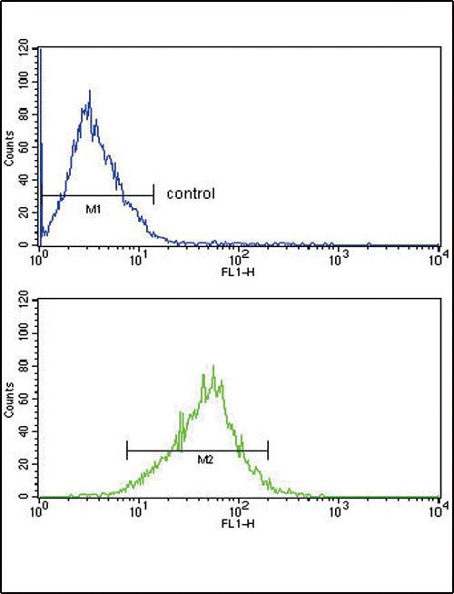 APOL1 / Apolipoprotein L Antibody - APOL1 Antibody (19169) FC of MCF-7 cells (bottom histogram) compared to a negative control cell (top histogram). FITC-conjugated goat-anti-rabbit secondary antibodies were used for the analysis.