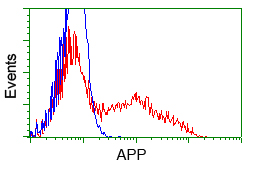 APP / Beta Amyloid Precursor Antibody - HEK293T cells transfected with either pCMV6-ENTRY APP (Red) or empty vector control plasmid (Blue) were immunostained with anti-APP mouse monoclonal, and then analyzed by flow cytometry.