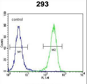 AQP11 / Aquaporin 11 Antibody - AQP11 Antibody flow cytometry of 293 cells (right histogram) compared to a negative control cell (left histogram). FITC-conjugated goat-anti-rabbit secondary antibodies were used for the analysis.
