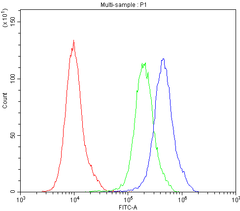 AQP2 / Aquaporin 2 Antibody - Flow Cytometry analysis of PC-3 cells using anti-AQP2 antibody. Overlay histogram showing PC-3 cells stained with anti-AQP2 antibody (Blue line). The cells were blocked with 10% normal goat serum. And then incubated with rabbit anti-AQP2 Antibody (1µg/10E6 cells) for 30 min at 20°C. DyLight®488 conjugated goat anti-rabbit IgG (5-10µg/10E6 cells) was used as secondary antibody for 30 minutes at 20°C. Isotype control antibody (Green line) was rabbit IgG (1µg/10E6 cells) used under the same conditions. Unlabelled sample (Red line) was also used as a control.
