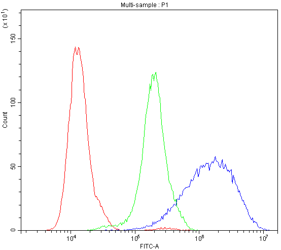 AQP3 / Aquaporin 3 Antibody - Flow Cytometry analysis of Hela cells using anti-Aquaporin 3 antibody. Overlay histogram showing Hela cells stained with anti-Aquaporin 3 antibody (Blue line). The cells were blocked with 10% normal goat serum. And then incubated with rabbit anti-Aquaporin 3 Antibody (1µg/10E6 cells) for 30 min at 20°C. DyLight®488 conjugated goat anti-rabbit IgG (5-10µg/10E6 cells) was used as secondary antibody for 30 minutes at 20°C. Isotype control antibody (Green line) was rabbit IgG (1µg/10E6 cells) used under the same conditions. Unlabelled sample (Red line) was also used as a control.